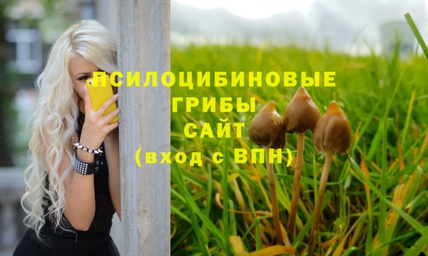 PSILOCYBIN Верхнеуральск